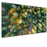 Obraz na ścianę do sypialni salonu drzewa las 41366 Naklejkomania - zdjecie 1 - miniatura