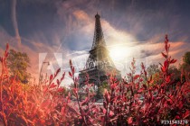 Eiffel Tower during spring time in Paris, France Naklejkomania - zdjecie 1 - miniatura
