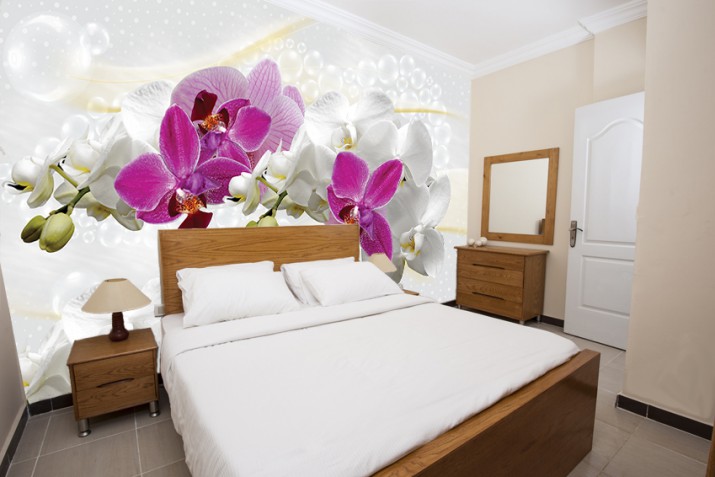 Fototapeta na ścianę tapeta na fizelinie do sypialni Orchideowa delikatność 10146