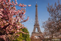Eiffel Tower with spring trees in Paris, France Naklejkomania - zdjecie 1 - miniatura