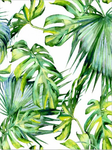 Plakat grafika liście, listki, monstera 61108 - zdjęcie 2