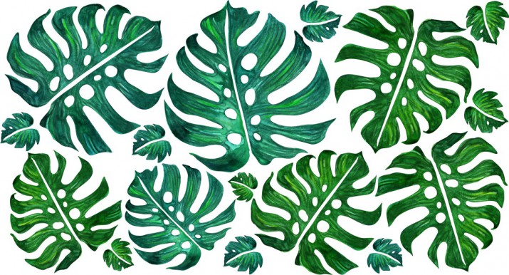 Naklejki na ścianę kwiaty liście monstera 9854 - zdjęcie 2