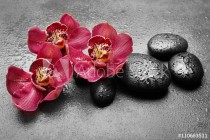 Spa stones and red orchid on grey background Naklejkomania - zdjecie 1 - miniatura