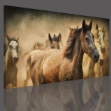 Obraz na ramie płótno canvas- pejzaż, konie, galop 15065 Naklejkomania - zdjecie 3 - miniatura