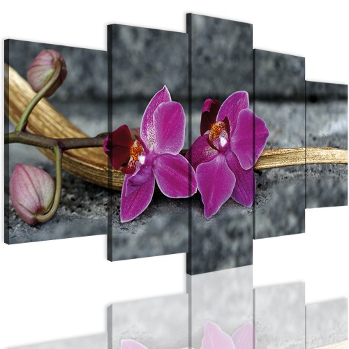Obrazy 5 częściowe-  Kwiaty, orchidea 12335