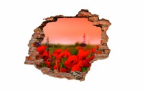 Naklejka na ścianę, dziura 3D  cegły łąka maki 3077 Naklejkomania - zdjecie 2 - miniatura