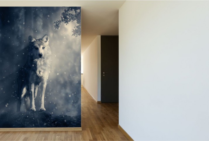 Fototapeta na ścianę samotny wilk 40406