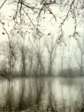 Plakat jezioro mgła 61169 Naklejkomania - zdjecie 2 - miniatura