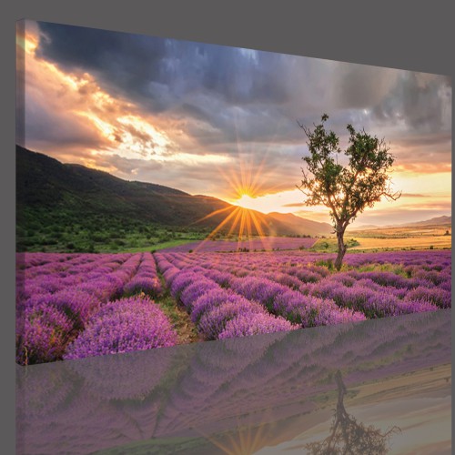 Obraz na ramie płótno canvas- Kwiaty 12384 - zdjęcie 2