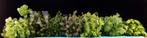 Homegrown and aromatic herbs on rustic background with rosemary and basil Naklejkomania - zdjecie 1 - miniatura