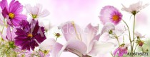 pink wild beautiful flowers Naklejkomania - zdjecie 1 - miniatura