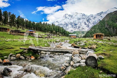 Fairy Meadows in summer, Pakistan