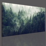 Obraz na ramie płótno canvas- pejzaż, góry, las 15074 Naklejkomania - zdjecie 3 - miniatura