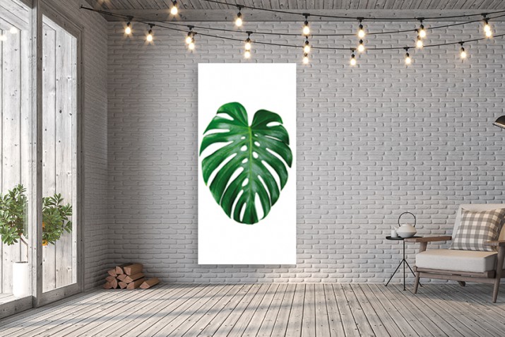 Obraz na ścianę do sypialni salonu monstera 41211 - zdjęcie 3