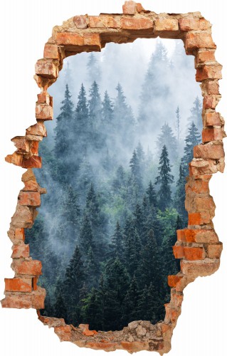 Naklejka na ścianę, dziura 3D  las we mgle 3636 - zdjęcie 2