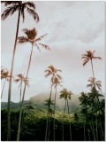 Plakat Palmy dżungla 61068 Naklejkomania - zdjecie 2 - miniatura