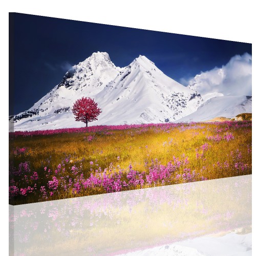 Obraz na ramie płótno canvas- pejzaż, góry, łąka 15070 Naklejkomania - zdjecie 1