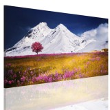 Obraz na ramie płótno canvas- pejzaż, góry, łąka 15070 Naklejkomania - zdjecie 1 - miniatura