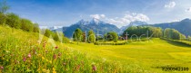 Idyllic landscape with blooming meadows and mountain peaks in the Alps in springtime Naklejkomania - zdjecie 1 - miniatura