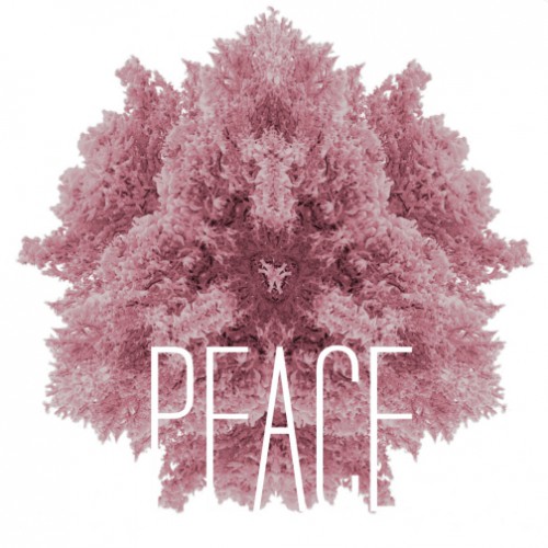 Obraz na płótnie- Rozeta 17988 - zdjęcie 2