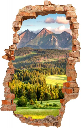 Naklejka na ścianę , dziura 3D góry 3662 - zdjęcie 2