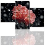 Tryptyk do salonu - Kwiaty, roślina, pąk kwiatu 12105 Naklejkomania - zdjecie 1 - miniatura