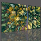 Obraz na ścianę do sypialni salonu drzewa las 41366 Naklejkomania - zdjecie 3 - miniatura
