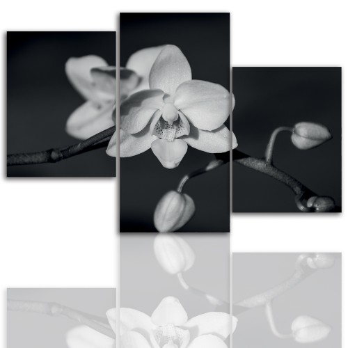 Tryptyk do salonu - Kwiaty, storczyk, orchidea 12096 Naklejkomania - zdjecie 1