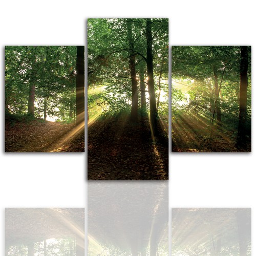 Tryptyk do salonu - Pejzaż, las, słońce 12067 Naklejkomania - zdjecie 1