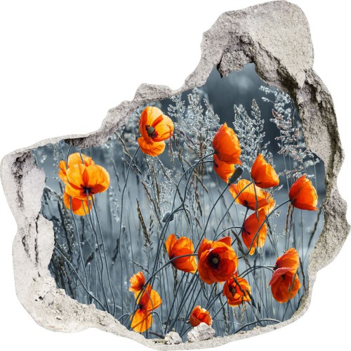 Naklejka na ścianę, dziura 3D kwiaty maki łąka 3566 Naklejkomania - zdjecie 1