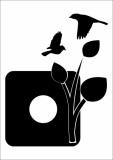 Naklejka pod kontakt motyw 1516 kwiaty i ptaki Naklejkomania - zdjecie 1 - miniatura