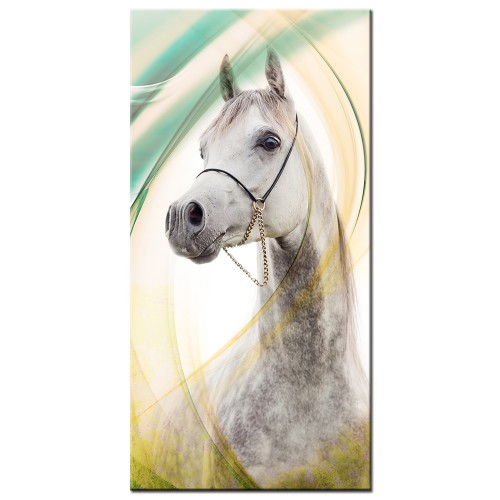 Obraz na ramie płótno canvas- Koń 12988 - zdjęcie 3