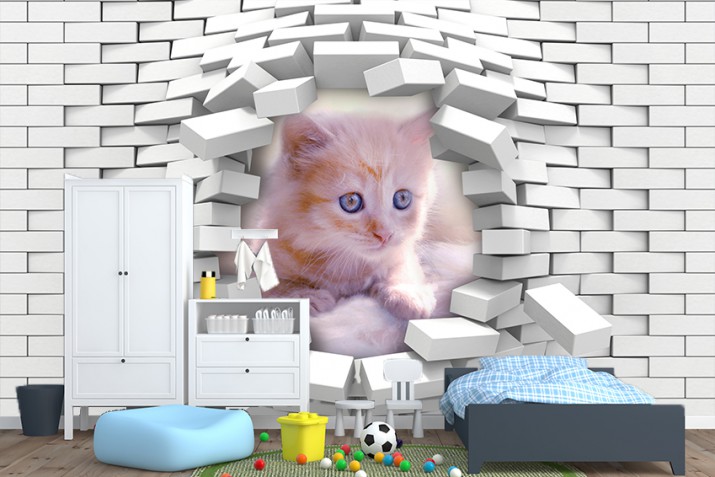 Fototapeta na ścianę tapeta na fizelinie do pokoju dziecięcego dla dzieci Trójwymiarowy kot 10493
