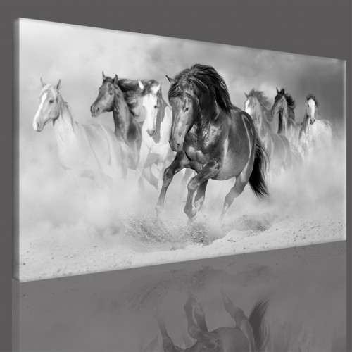Obraz na ramie płótno canvas- pejzaż, konie, galop 15075 - zdjęcie 3