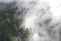 Fototapety na ścianę widok góry las  mgła 10812 Naklejkomania - zdjecie 2 - miniatura