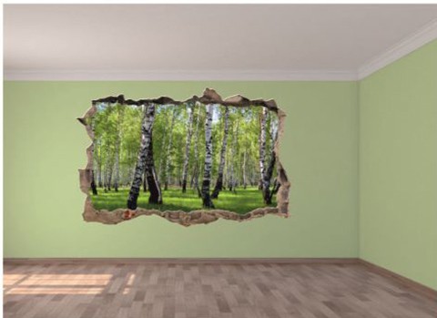 Naklejka na ścianę, dziura 3D brzozowy las 303 Naklejkomania - zdjecie 1