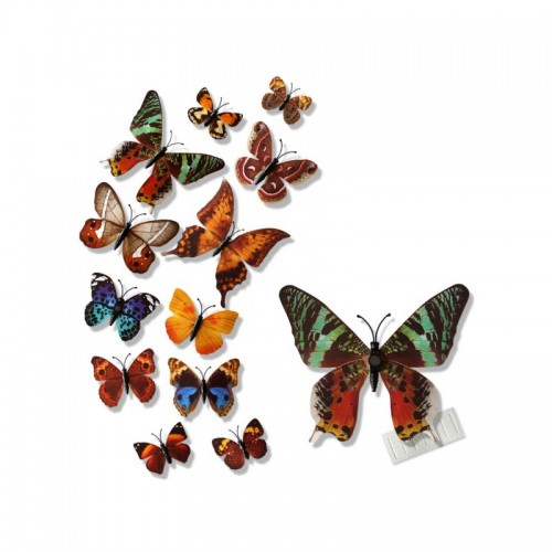 Motyle 3D na magnes, naklejka,KOLOROWE,DP