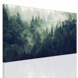 Obraz na ramie płótno canvas- pejzaż, góry, las 15074 Naklejkomania - zdjecie 1 - miniatura