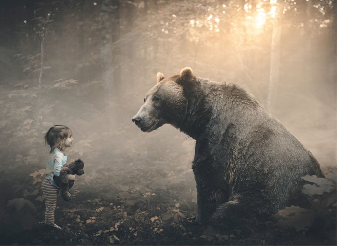 Fototapeta ścienna niedźwiedź spotkanie 40413 - zdjęcie 2