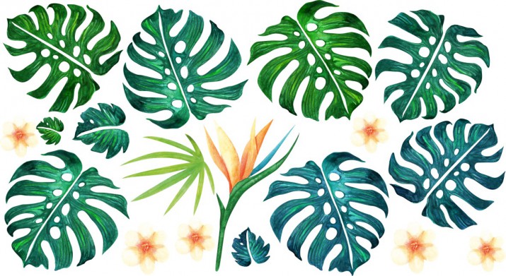 Naklejka na ścianę kwiaty liście monstera 9867 - zdjęcie 2