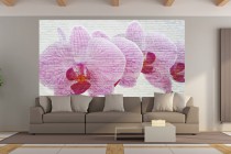 Fototapeta na ścianę tapeta na fizelinie do salonu Kamienna orchidea 10107 Naklejkomania - zdjecie 1 - miniatura
