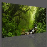 Obraz na ramie płótno canvas- pejzaż, las, wodospad 15093 Naklejkomania - zdjecie 3 - miniatura
