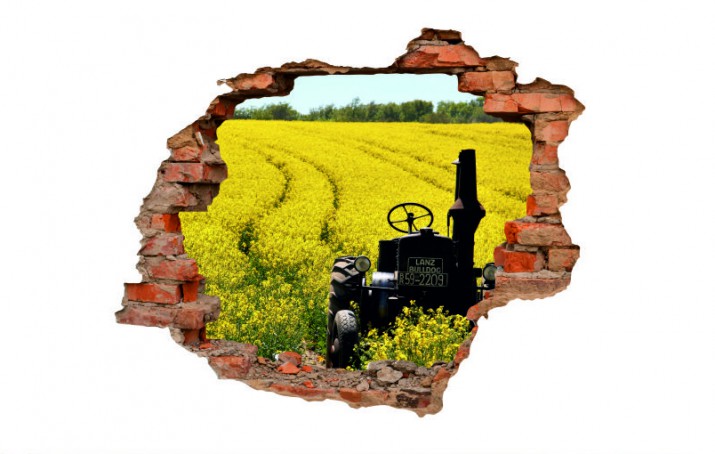 Naklejka na ścianę, dziura 3D  cegły łąka rzepak traktor 3017 - zdjęcie 2