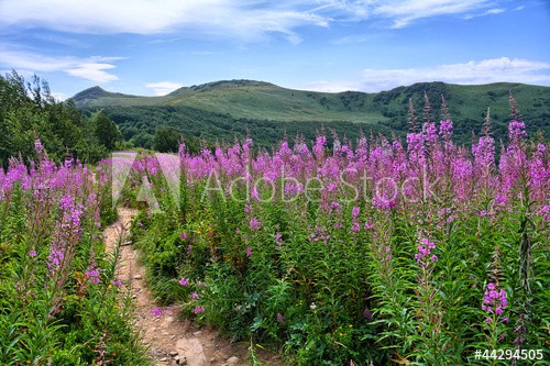 Bieszczady Mountains