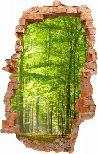 Naklejka ścienna , dziura 3D  zielony las 3641 - zdjęcie 2