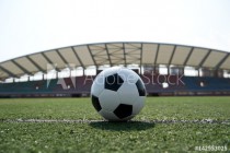 soccer ball on stadium grass line. Naklejkomania - zdjecie 1 - miniatura