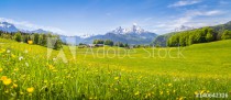 Idyllic landscape in the Alps with blooming meadows in summer Naklejkomania - zdjecie 1 - miniatura