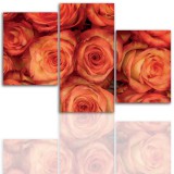 Tryptyk do salonu - Kwiaty, róże, pąk 12110 Naklejkomania - zdjecie 1 - miniatura