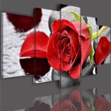 Obrazy 5 częściowe- Kwiat róże czerwone 513 Naklejkomania - zdjecie 3 - miniatura