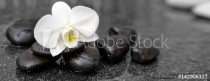 Single white orchid and black stones close up. Naklejkomania - zdjecie 1 - miniatura